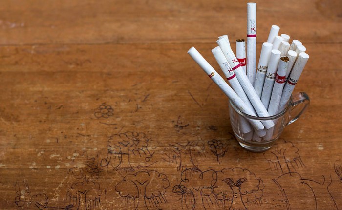 Pemanfaatan Puntung Rokok sebagai Pembasmi Hama