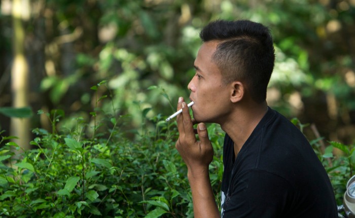 Rokok Pucuk Dipercaya sebagai Obat Demam